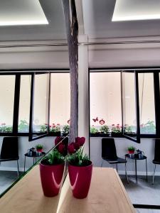 Lovely new apartment near Tiranas artificial Lake