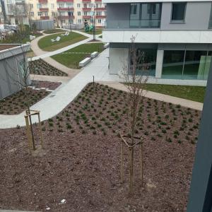 Apartament GRUBA RYBA