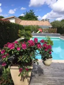 Cabane Blanche - Mauret