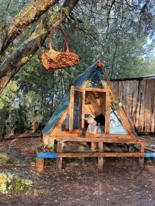 Mini Cabaña Roca Glamping