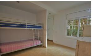 Palmeral