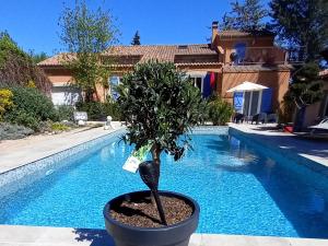 Maisons de vacances Les Jasmins de Salelles : photos des chambres