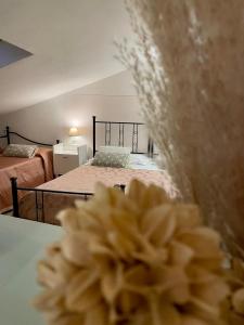 Sui Passi di Francesco