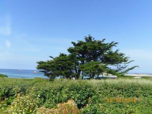 Maisons de vacances Stone House in Brittany near Sandy Beaches : photos des chambres