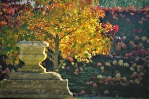 Villas La Bastide de Fabregues - Authenticity and excellence : photos des chambres