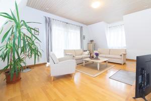 -V66- Apartment, By Cohost