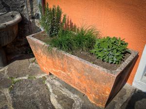 Rustico al Sole - Just renewed 1bedroom home in Ronco sopra Ascona