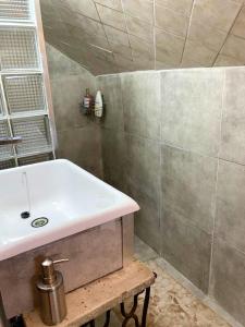 Maisons de vacances Maison spacieuse avec jardin a Saint-Brice-sous-Foret : photos des chambres
