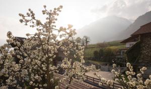 Rasnerhof Ferienwohnung Zielspitz