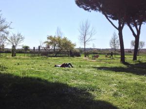 Casa Vacanze Nonna Elena