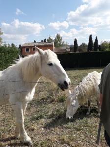 B&B / Chambres d'hotes Le Mas Josephine : photos des chambres