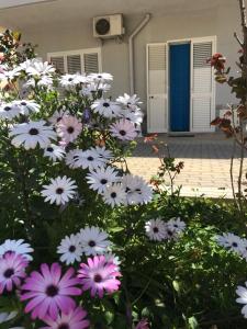 Apartment La Conchiglia