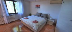 Apartment Burja with Olive Grove & Salt Pans View