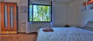 Apartment Burja with Olive Grove & Salt Pans View