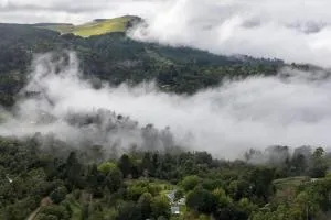 Further Beyond - Fort Beaufort