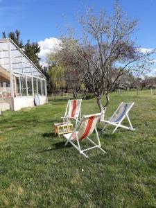 Maisons de vacances Le Sabatin - Maison de charme, un ecrin de verdure : photos des chambres