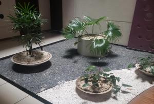 Departamento Equipetrol Empresarial Familiar