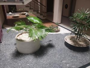 Departamento Equipetrol Empresarial Familiar