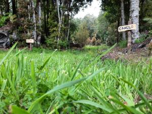 Pillang Likan tinas calientes, el poder del Volcan