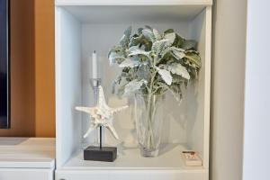 Lawyers Apartment Alz