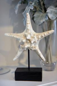 Lawyers Apartment Alz