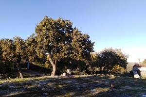 Su Montiju de sa falada manna img10