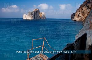 Il Fenicottero img44