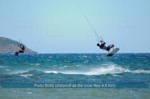 Il Fenicottero img15