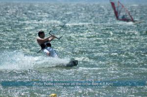 Il Fenicottero img29