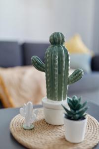 Penthouse Cactus Old Center