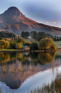 Copperleigh Trout Cottages