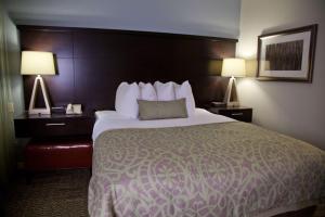 One-Bedroom Queen Suite room in Sonesta ES Suites San Francisco Airport