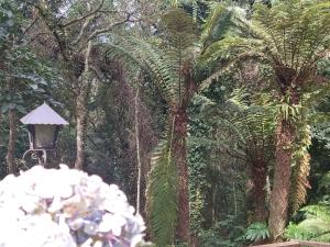 Pousada Estrela da Serra