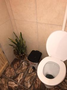 Cabaña Los Nietitos