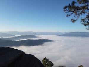 Sharda Stays Binsar Himalayas