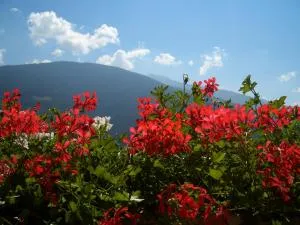 Ferienwohnung Tauberhof - Fiumes