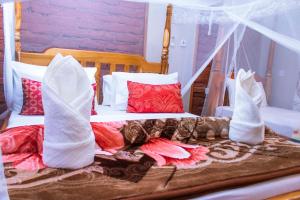 MANTIS LODGE & CAMPING SITE