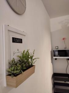 Apartment Lucky 