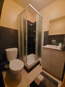 Appartements Bel appartement spacieux 44m² a SUPER BESSE pour 6 personnes : photos des chambres