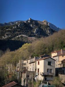 B&B / Chambres d'hotes Domaine Mas Terra : photos des chambres