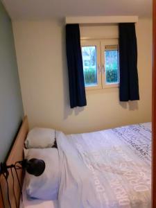 Chalet de Putter in Putten