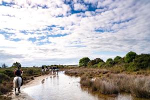 Villas Une maison en Camargue : photos des chambres