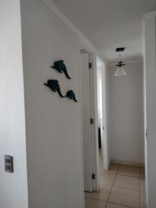 Departamento Coquimbo a pasos de la playa