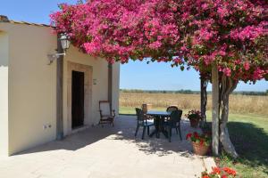 Agriturismo Masseria sul Mare