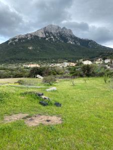 Casa Corofulu Oliena - IUN P2139 img12