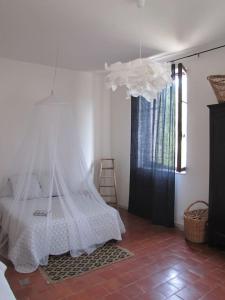 Villas Une maison en Camargue : photos des chambres