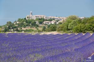 Maisons de vacances LE MAS D'ISACHRIS Le T2 : photos des chambres