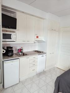 Saunallinen lomahuoneisto LeviStar 1