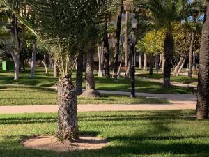 Encantador Apartamento Torrevieja Playa