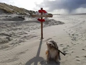 Fischerbalje - Roodeschool